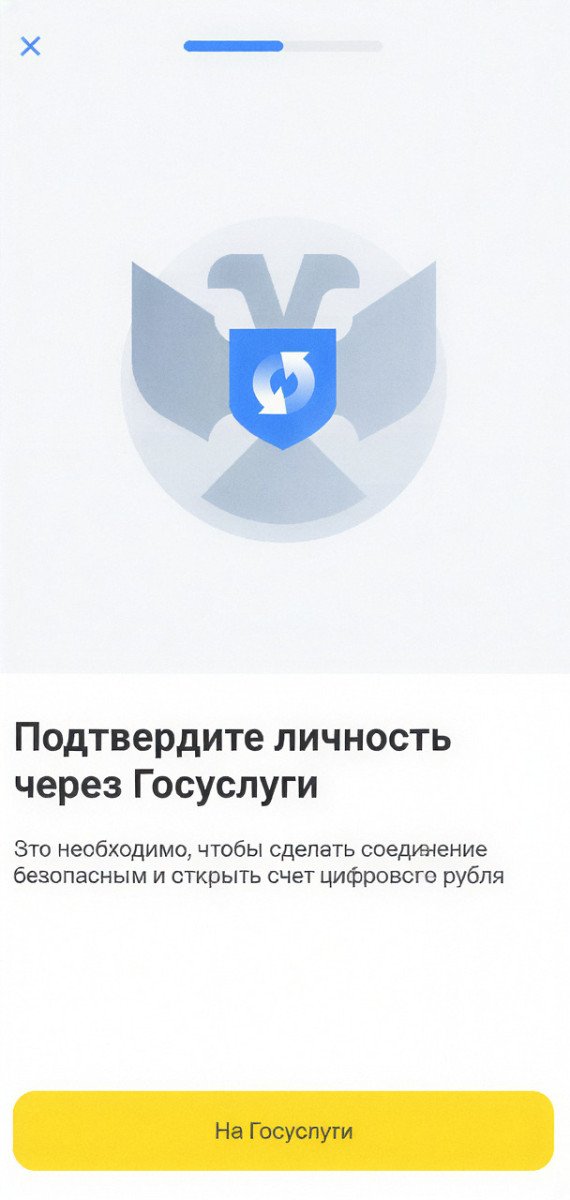 Подтверждение личности через Госуслуги
